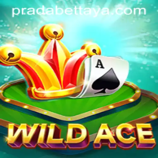 WildAce: The Exciting Fusion of Strategy and Luck in 2023